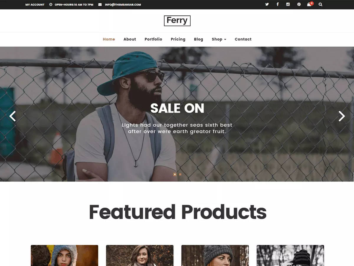 Ferry Lite Woocommerce WordPress Theme